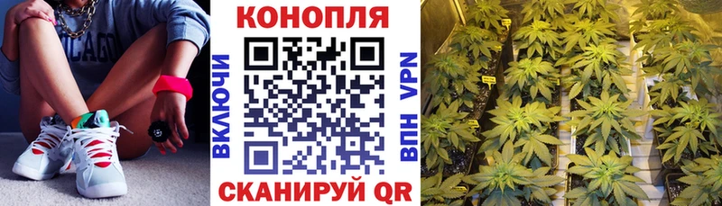 Конопля OG Kush  Фёдоровский 